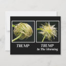 Search for hairstyle postcards Funny