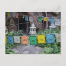 Search for prayer postcards Tibet