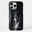 Search for collie iphone cases Herding dog