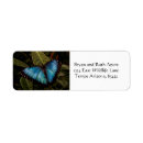 Search for butterfly wings return address labels Nature