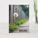 Search for dandelions cards Seeds