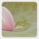 Search for lotus flower stickers Asia