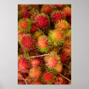 Search for mekong posters Market