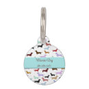 Search for dog supplies Dachshund