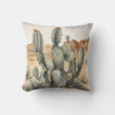 Search for southwest cushions Watercolor