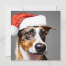 Search for cattle christmas cards Animals