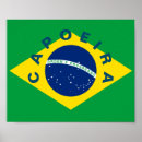 Search for brazilian posters Martial arts