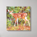 Search for wild deer canvas prints Fawn