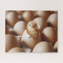 Search for chicken egg puzzles Farm