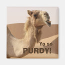 Search for camel magnets Funny