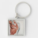 Search for shoulder key rings 19th