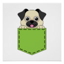 Search for pocket pet posters Dog