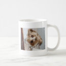 Search for yorkies mugs Puppy