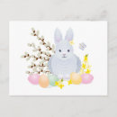 Search for rabbi postcards Bunny