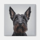 Search for scottish terrier magnets Pets