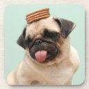 Search for tongue coasters Pug