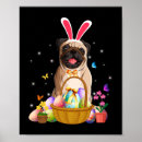 Search for brown eggs posters Bunny