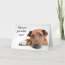 Search for dog get well cards Soon