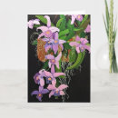 Search for hang in there cards Purple