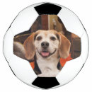 Search for photo soccer balls Dog