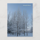 Search for reach postcards Trees