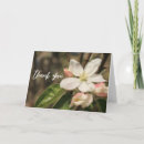 Search for spring photography Floral