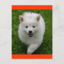 Search for esky postcards Happy birthday