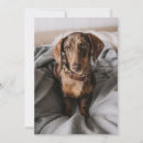 Search for dachshund thank you cards Puppy