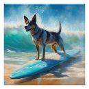 Search for heelers posters Blue heeler