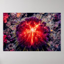 Search for sea urchin art Red