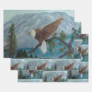 Search for eagles wrapping paper Wildlife