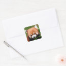 Search for red pandas stickers China