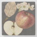 Search for fruit barware Food