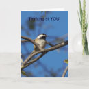 Search for expressions photography Inspirational