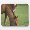 Search for maree mousepads Brown