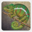 Search for chameleon stickers Green