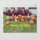 Search for bale cards Pumpkins