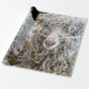 Search for funny goat wrapping paper Cute