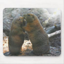 Search for couples mousepads Funny