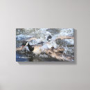 Search for spars posters Wildlife