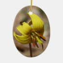 Search for trout christmas tree decorations Nature