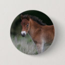 Search for ponies badges Foal