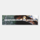 Search for turtle bumper stickers Reptile
