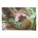 Search for zoo animal pillowcases Baby
