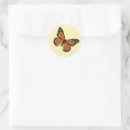 Search for orange butterflies stickers Insect