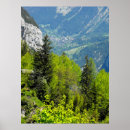 Search for mountain forest posters Evergreen