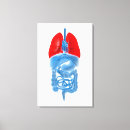 Search for bowel art Internal organs
