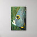 Search for wild side canvas prints Animals in the wild