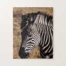 Search for zebra puzzles Travel