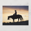 Search for horse silhouette postcards Sunset